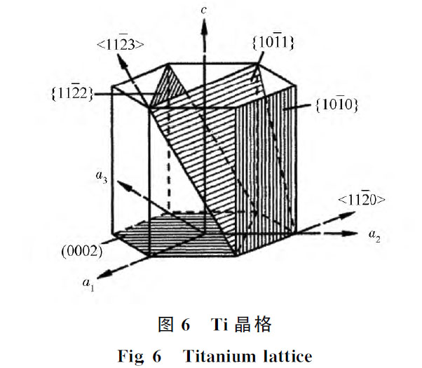 t6.jpg